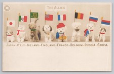 Allies Dogs Flags Japan Italy