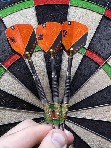 Target darts raymond van - target,