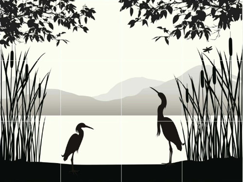 Egret heron birds - egret, in