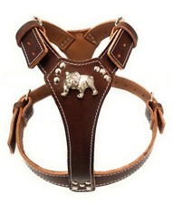 Bulldog Leather Dog Harness Large with English Bulldog Badge
