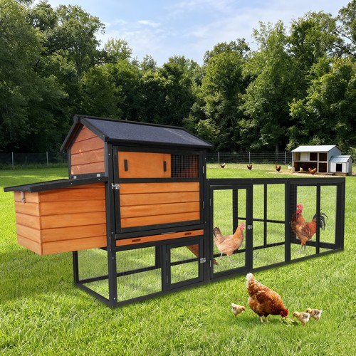 Large wooden chicken coop - chicken,