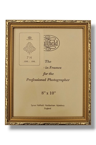 Vintage ornate picture photo - ornate,