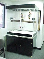 Pennzoni Large Acrylic Bird