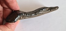 Rare UK Theropod Dinosaur Skull Piece