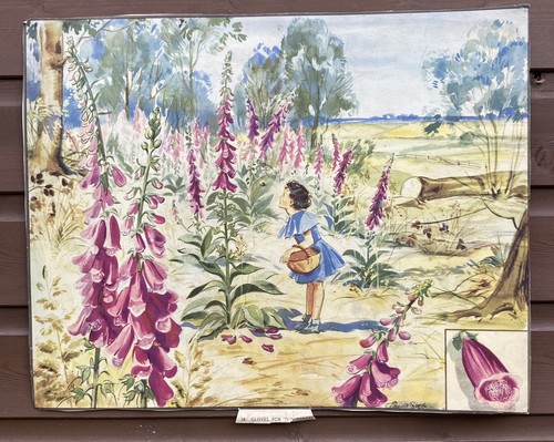 Eileen soper print - print, cloves