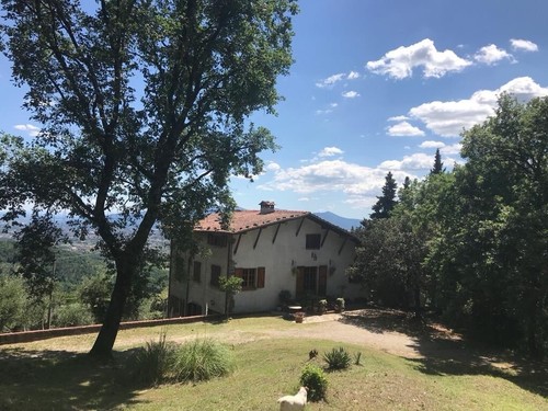 Olive farm house rental - farm,