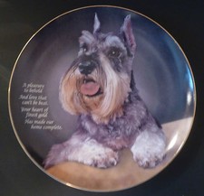 Danbury Mint "A Pleasure to Behold" Dog Plate*MINIATURE SCHNAUZER