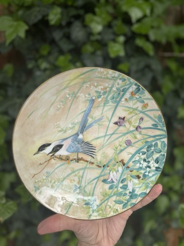 Decorative plate coalport - decorative,