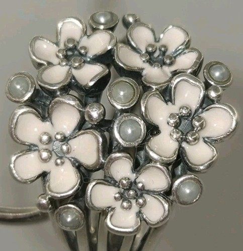 Authentic pandora pink - authentic,