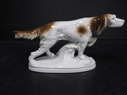 Vintage english setter gundog - vintage,
