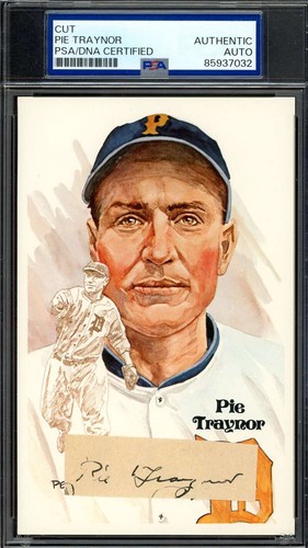 Pie traynor psa - traynor,