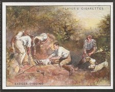 PLAYERS-COUNTRY SPORTS 1930 (L25)-#01- BADGER DIGGING