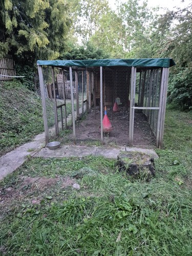 Chicken coop and run hen - hen, house