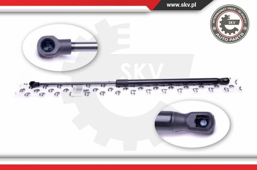 52skv393 esen skv - skv, spring