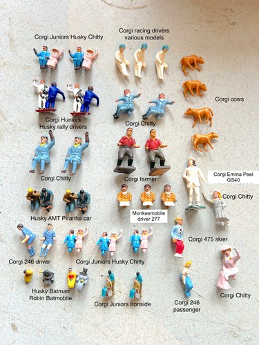 Corgi husky juniors - corgi,