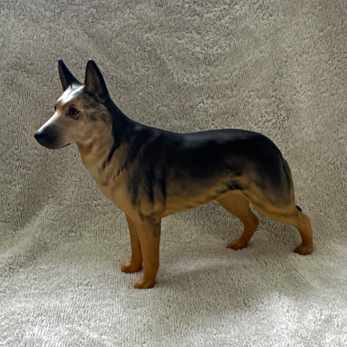Alsatian german shepherd dog - alsatian/german,