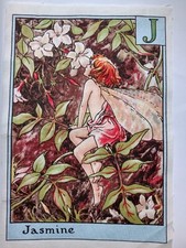 J - JASMINE - Alphabet Letters