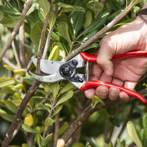 Felco secateurs for garden - 2,