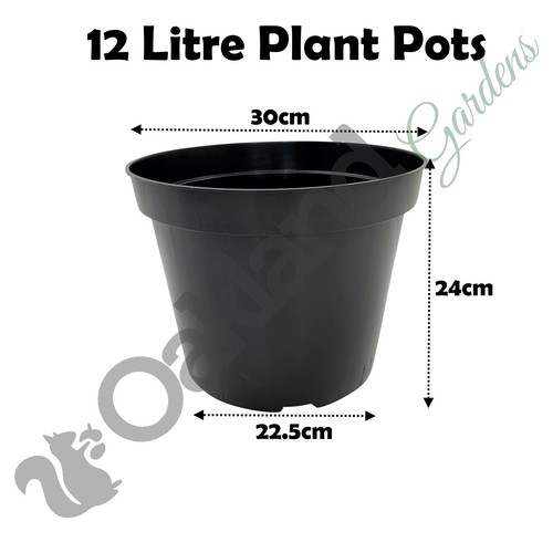 Black plastic plant pots 3 - plant,