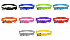 Vibrant Soft Comfy Nylon Kitten / Cat Collar with Bell and Safety Release Buckle