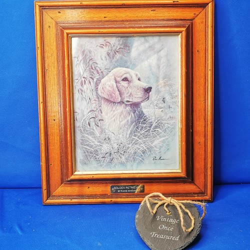 Golden retriever wooden - in,