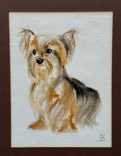 SHIH TZU TOY DOG BREED