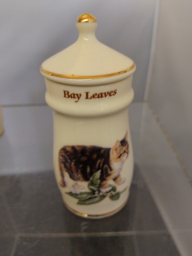 Lesley anne ivory - ivory, spice