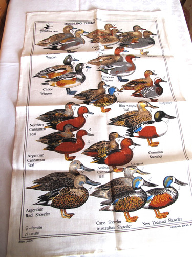 The wildfowl wetlands trust - wetlands,