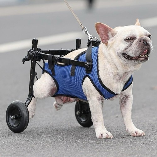 Adjustable pet wheelchair - s,