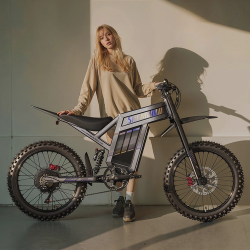 Electric bike 60v - 19",