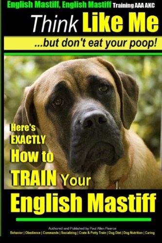 English mastiff - mastiff,,