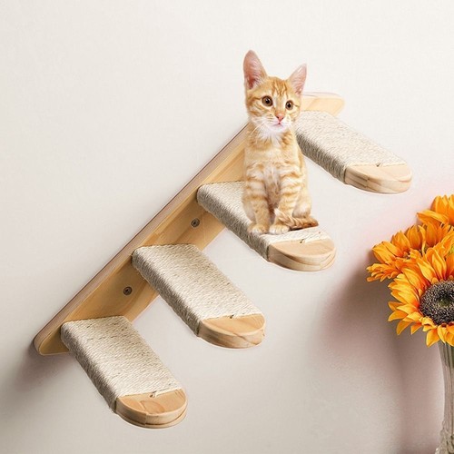 Wall mounted cat - wall,