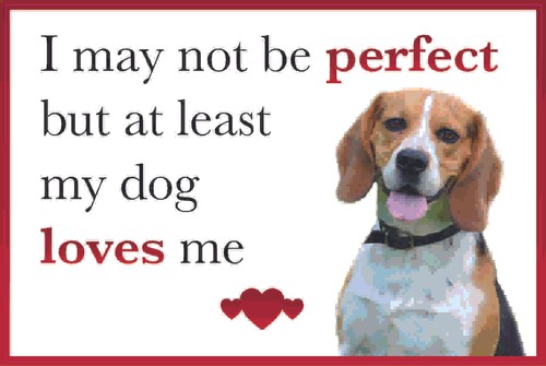 Funny dog loves beagle - me,