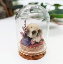 Miniature Skull In A Dome  -