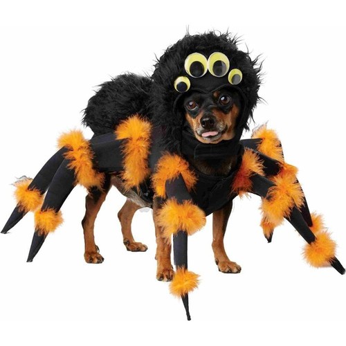 Spider pup pet costume size - spider,
