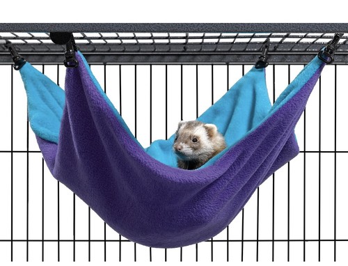 Ferret nation large - nation,