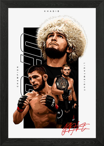 Khabib nurmagomedov ufc - khabib,