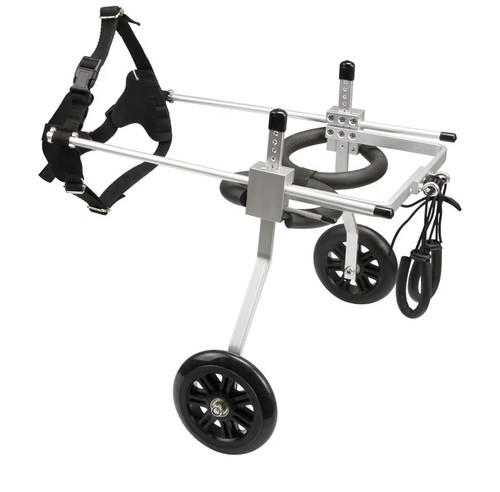 Dog wheelchair mobility - dog,