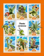 Carnivorous Plants Insects MNH