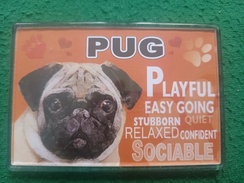Lovely pug dog fridge - fridge, magnet