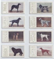 Trade Cards - Champion Dogs (Spratts Patent Ltd.) - 22 Cards