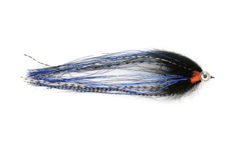 Pike flies comet predator - flies,