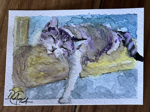Watercolor aceo painting tabby - watercolor,