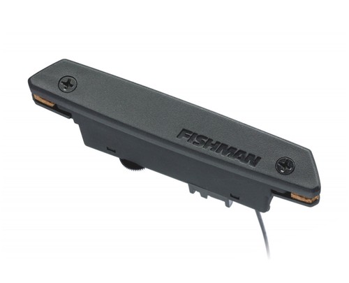 Fishman rare earth - earth, soundhole