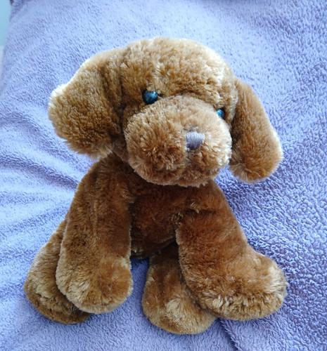 Asda cuddle crew brown - brown, floppy
