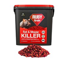 Lodi ruby grain rat - grain, &