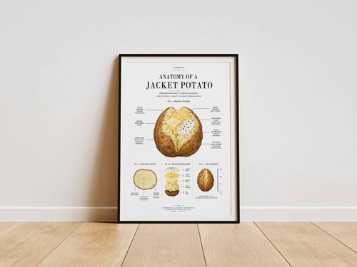 Jacket potato anatomy poster - potato,