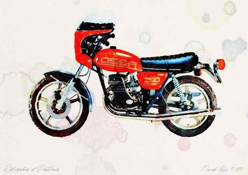 Photo ossa 250copa 1979 - ossa,