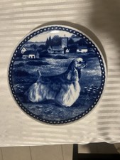 Cocker Spaniel - American -