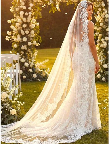 Lace bride wedding veil - bride,